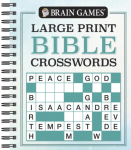 Brain Games Large Print Bible Word Search The Words Of Jesus Spiral Bound Walmart