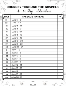 Bundle Of 3 Different 40 Day Bible Reading Plans