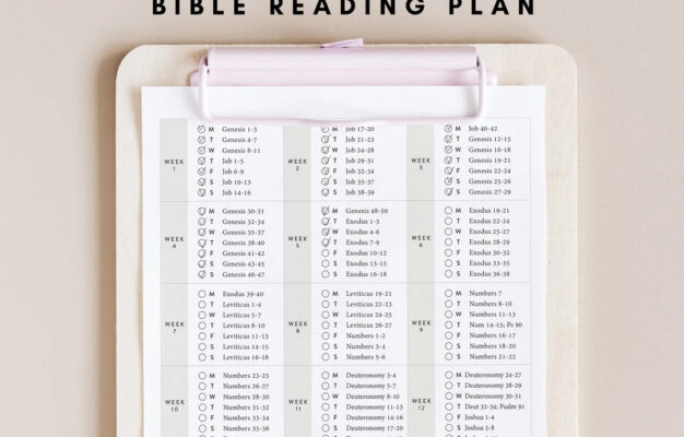 Chronological Bible Reading Plan 52 Week Bible Reading Plan 365 Days Bible Reading Weekly Bible Plan Digital Printable Etsy