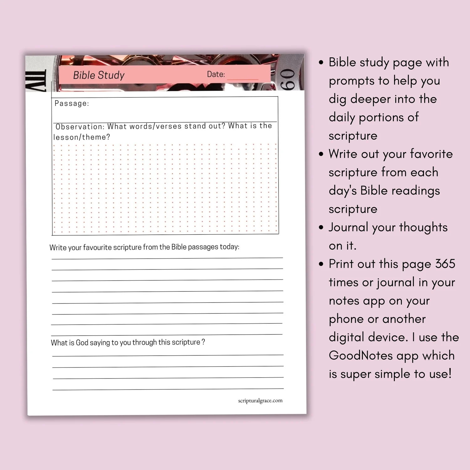 Printable Chronological Bible Reading Plan 365 Days