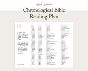 chronological bible reading plan scripture tracker a4 u0026 letter