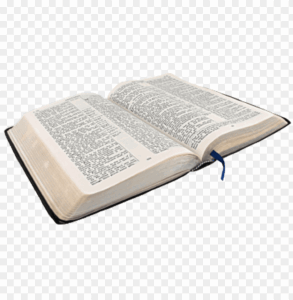 Clip Free Clipart Open Bible Bible On White Background PNG Transparent With Clear Background ID 191198 TOPpng
