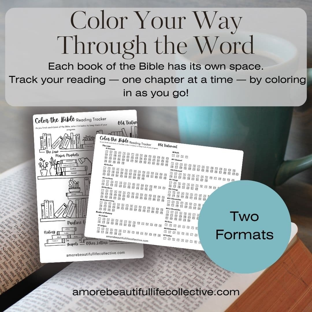 Color The Bible Tracker Printable Bible Reading Tracker With Chapter Checklist U0026 Illustrated Bookshelf Portrait Landscape Formats A More Beautiful Life Collective