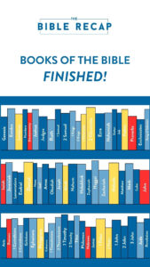 Complete The Bible Recap Celebrate Your Bible Reading Journey The Bible Recap