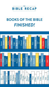 Complete The Bible Recap Celebrate Your Bible Reading Journey The Bible Recap