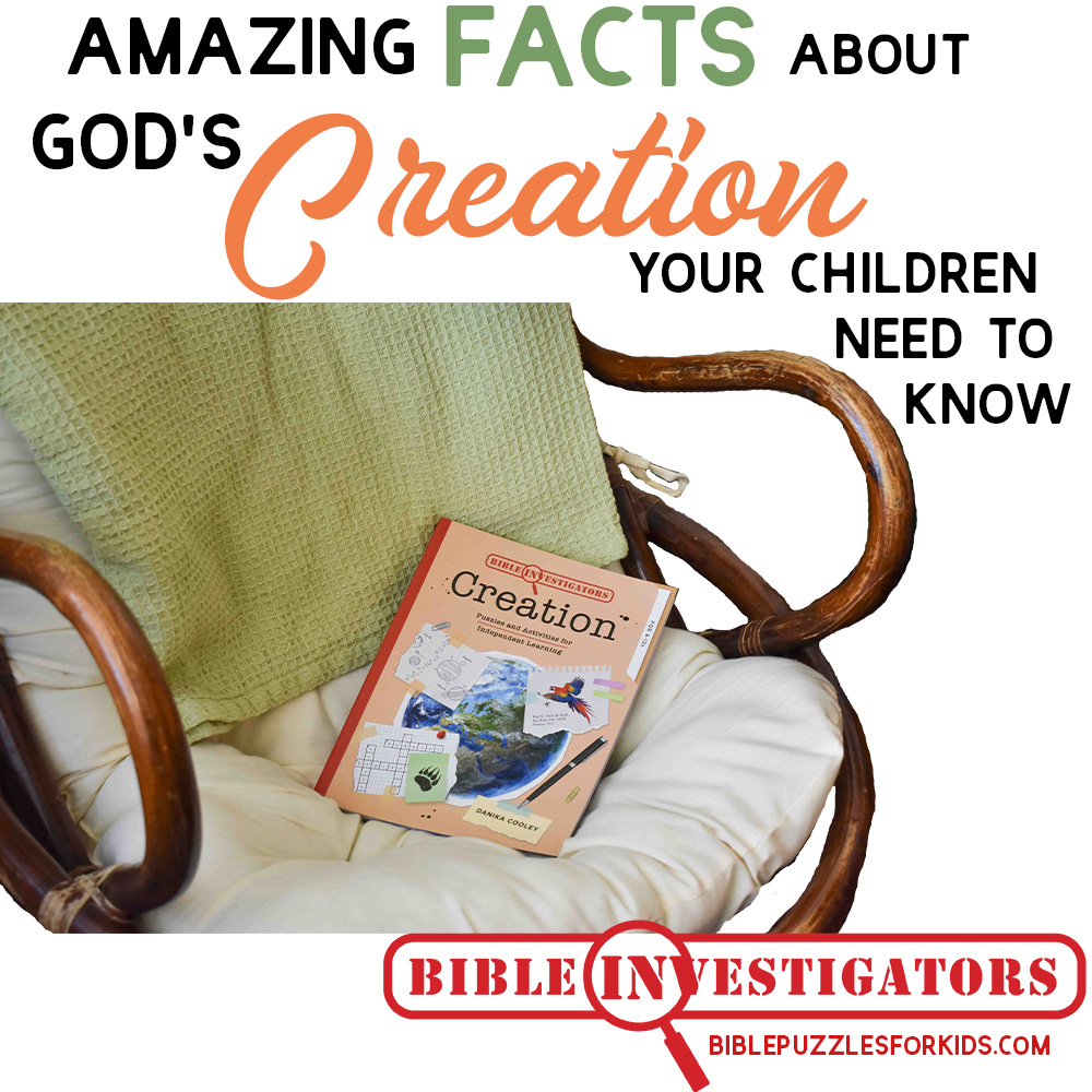 Creation Bible Study For Kids Free Printable Sample Thinking Kids