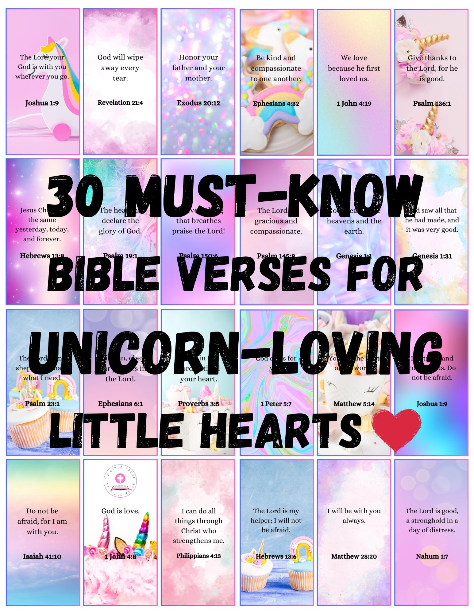 Csb Verse By Verse Bible Etsy