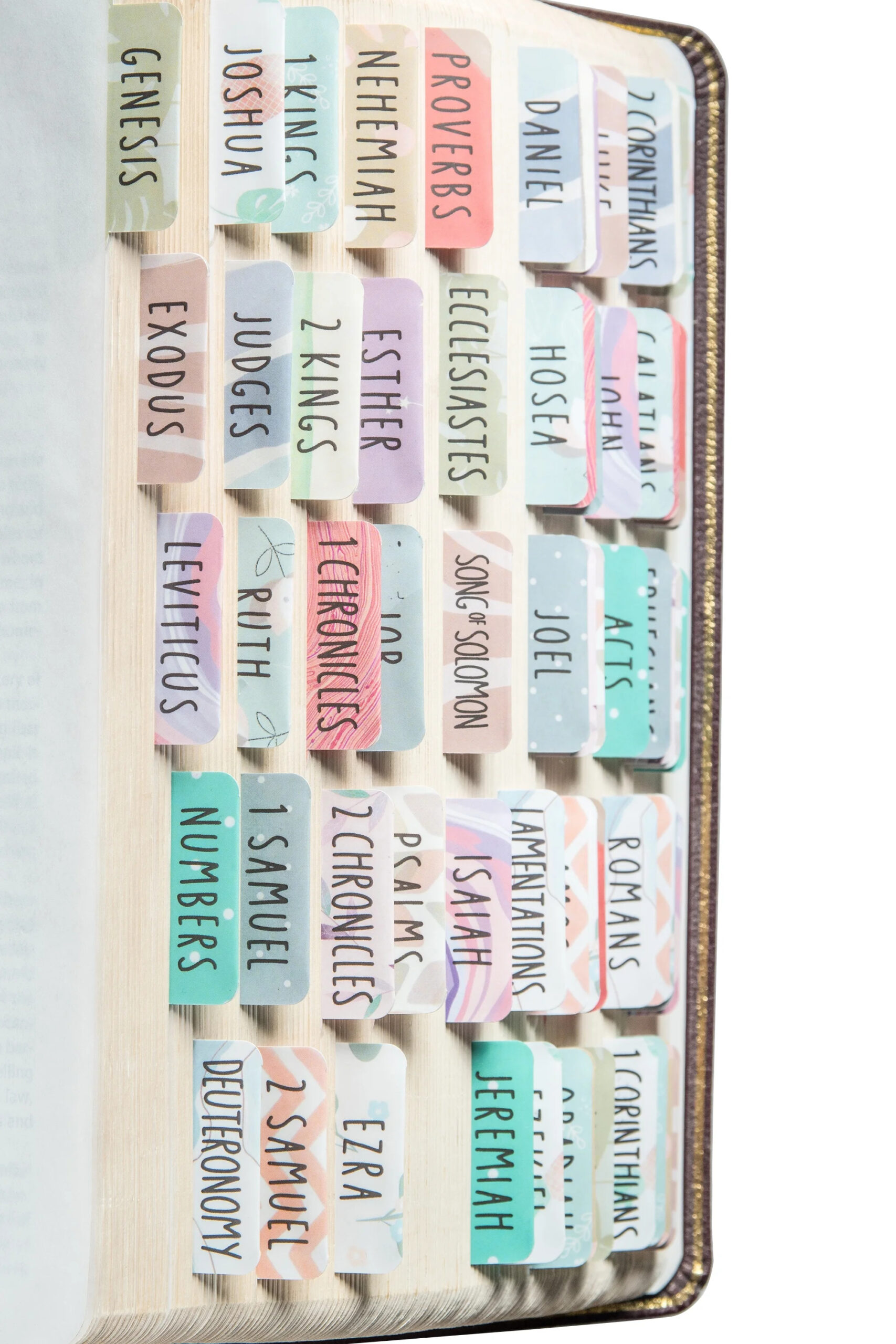 DiverseBee Laminated Index Tabs For Reports And Manuals Walmart 