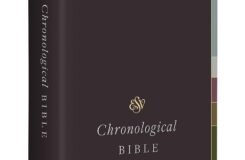 ESV Chronological Bible Hardcover Holy Bible English Standard Version ESV Bibles Steinmann Andrew E 9781433589508 Amazon Books