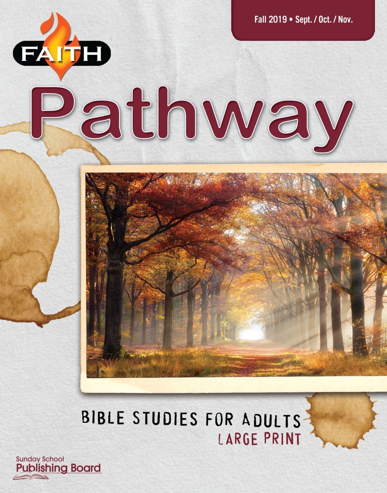 Faith Pathway Bible Studies For Adults Large Print Baker s Bible And Bookstore