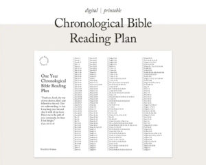 FOR MINISTRY USE Chronological Bible Reading Plan One Year Bible Plan 365 Bible Reading Plan Scripture Tracker Christian Planner Etsy