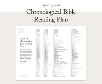 FOR MINISTRY USE Chronological Bible Reading Plan One Year Bible Plan 365 Bible Reading Plan Scripture Tracker Christian Planner Etsy