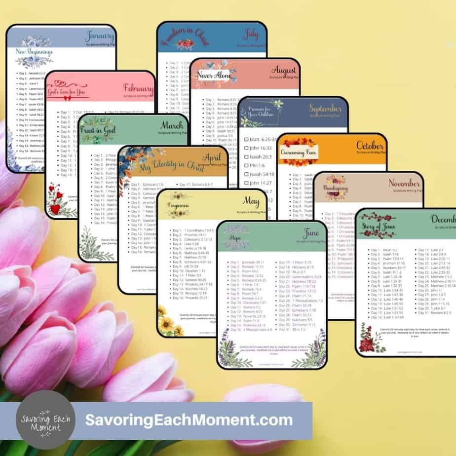 Free Bible Studies For Women To Study God s Word Savoring Each Moment