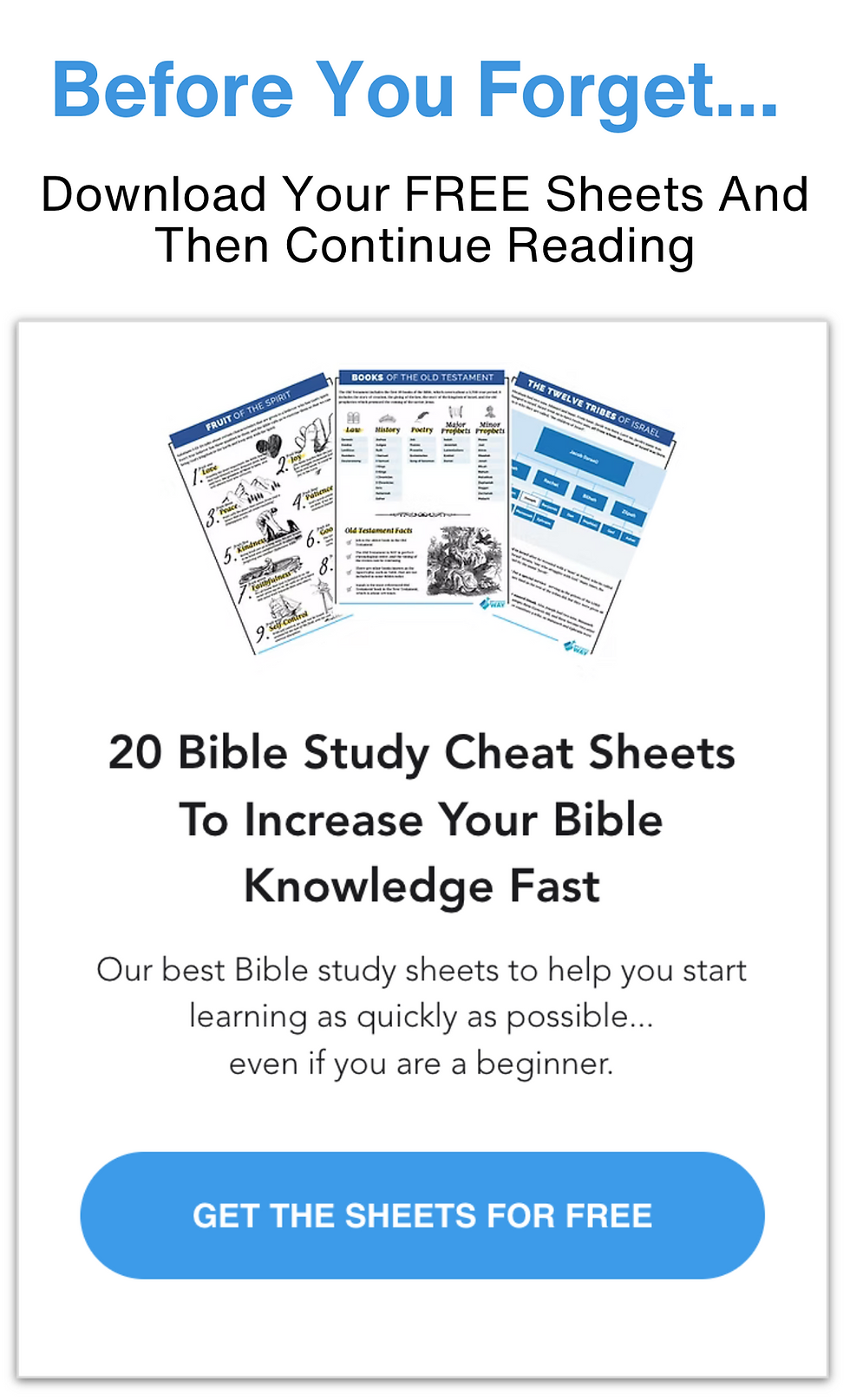 Free Printable Bible Cheat Sheets