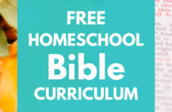 Free Homeschool Bible Curriculum Freedom Homeschooling