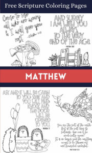 Free Matthew Scripture Coloring Pages Stevie Doodles