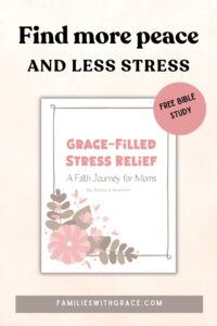 Free Online Bible Study For Moms About Stress Families With Grace