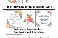FREE PRAYER SCRIPTURE CARDS Deeply Anchored Devotionals