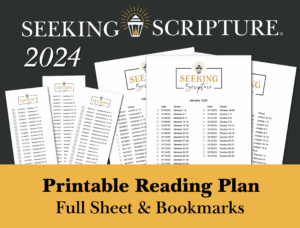 Free Printable 365 Day Bible Reading Plan PDF Download Bible