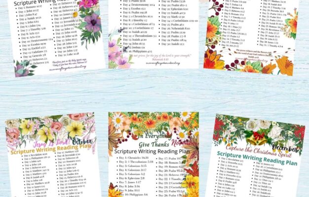 free printable bible reading plans for beginners a women after