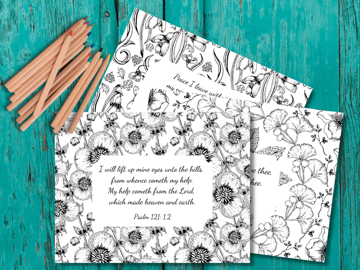 Free Printable Adult Bible Lessons O Safrices