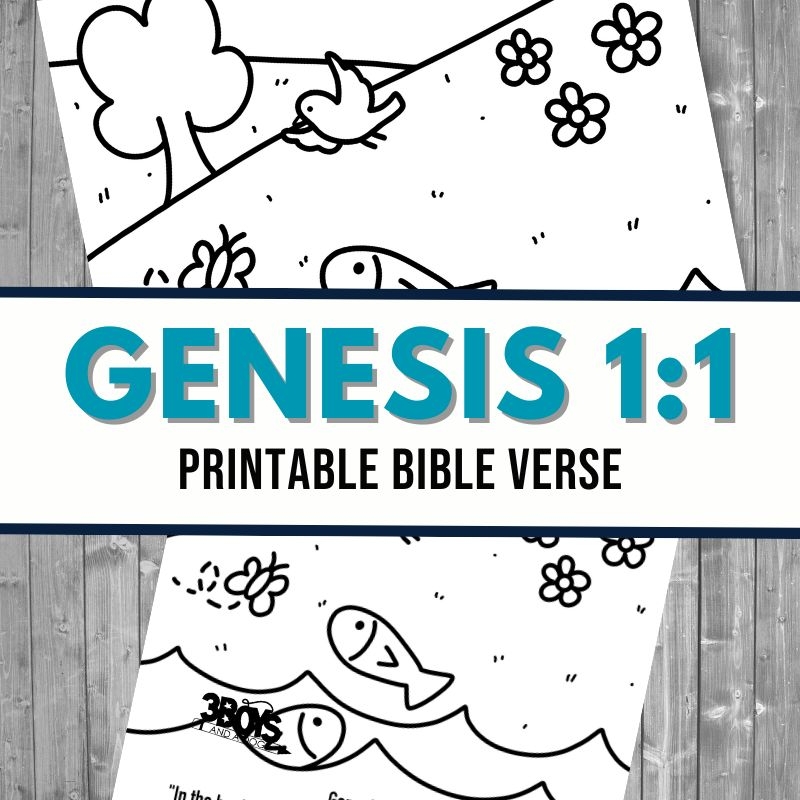 Genesis 1 1 Coloring Page 3 Boys And A Dog