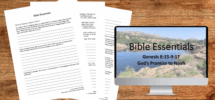 Genesis 8 15 9 17 God s Promise To Noah By Karen Hoffman