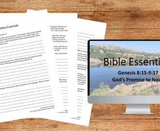 Genesis 8 15 9 17 God s Promise To Noah By Karen Hoffman