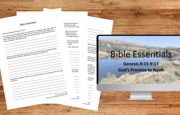 Genesis 8 15 9 17 God s Promise To Noah By Karen Hoffman