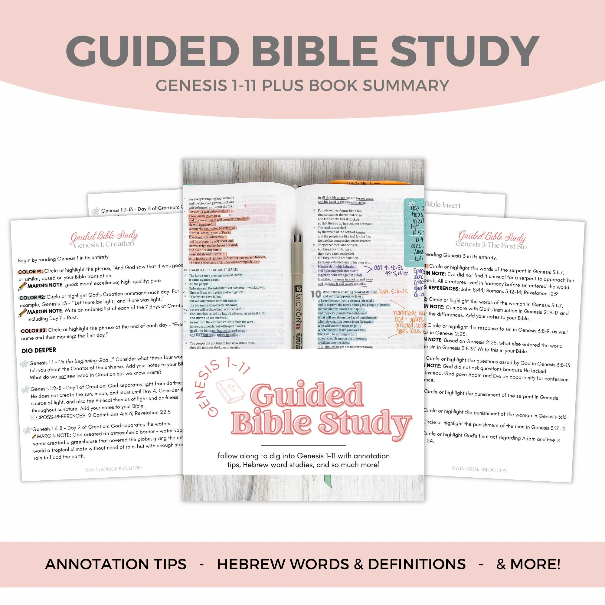Printable Genesis Bible Study Guide