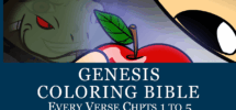 Genesis Mr Mac Bible