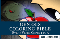Genesis Mr Mac Bible