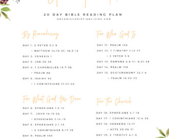 Give Thanks Bible Reading Plan Organic Christian Living