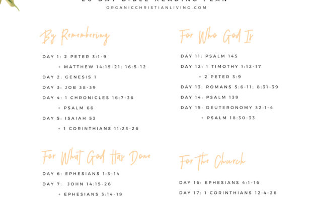 Give Thanks Bible Reading Plan Organic Christian Living