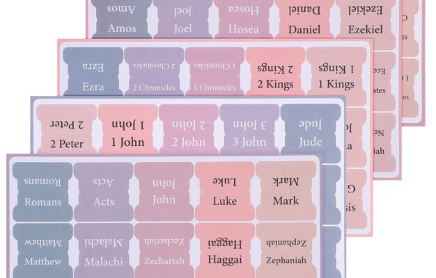 Gongxipen 5 Sheets Bible Tabs Bible Index Tabs Bible Chapter Tabs Bible Book Tabs Bible Tabs For Women Study Bible Walmart
