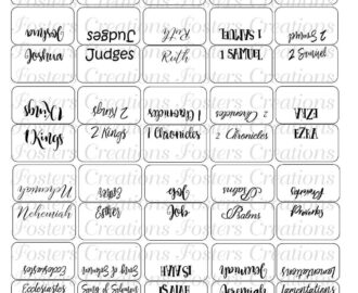 Great Adventure Catholic Bible Factory Custom Personalized Bible Index Tab Old And New Testament Bible Tabs Lam Bible Book Tabs