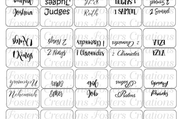 Great Adventure Catholic Bible Factory Custom Personalized Bible Index Tab Old And New Testament Bible Tabs Lam Bible Book Tabs