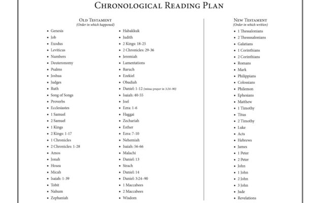 Happy Catholic Chronological Bible Reading Update