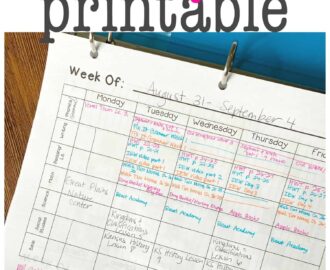 Homeschool Lesson Plan Printable I Can Teach My Child