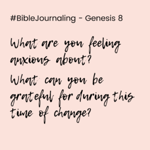 In The Flow With God s Timing Genesis 8 Bible Devotional