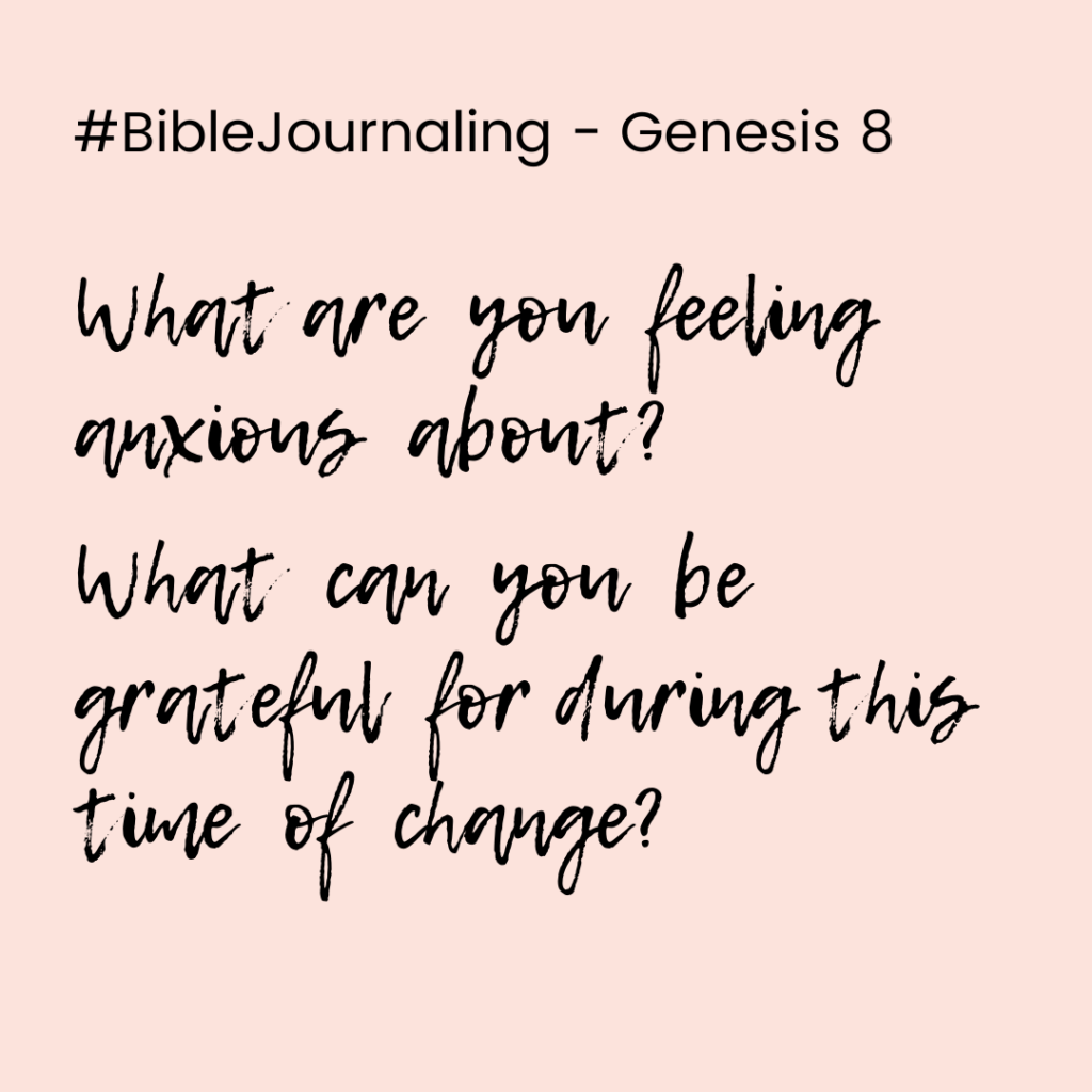 Genesis 8 Bible Study Printable
