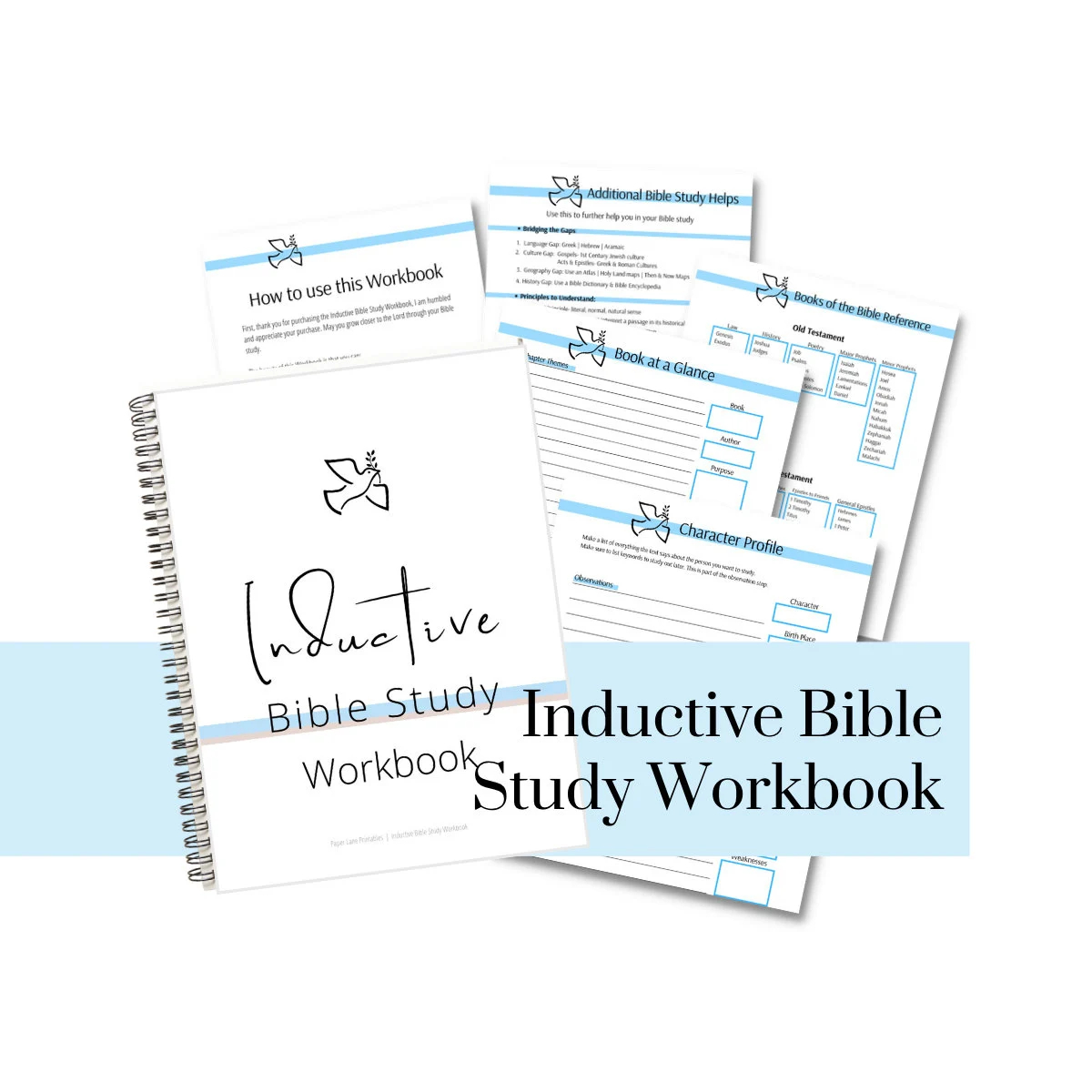 Bible at a Glance Free Printable