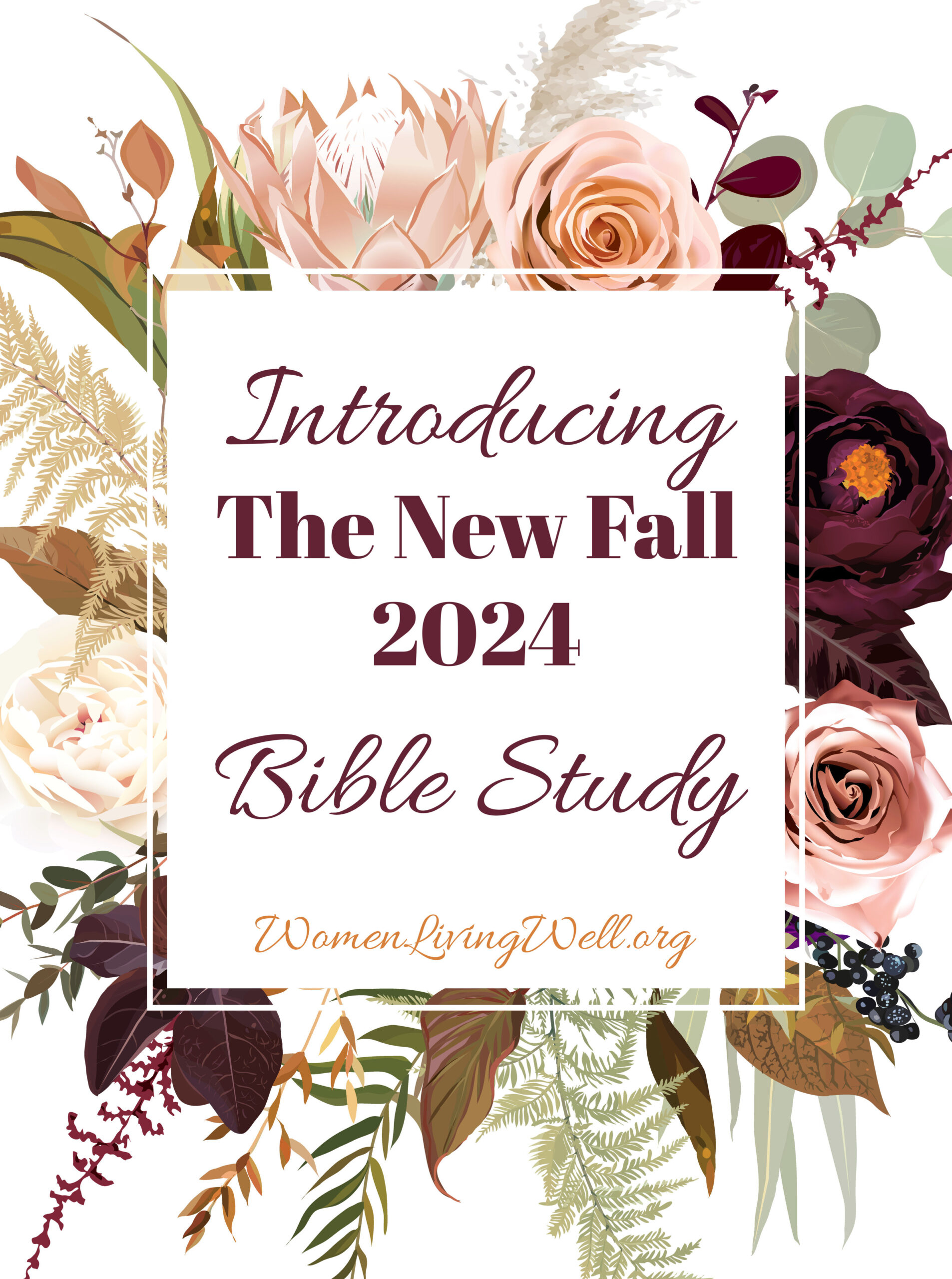 Introducing The New Fall 2024 Bible Study Women Living Well