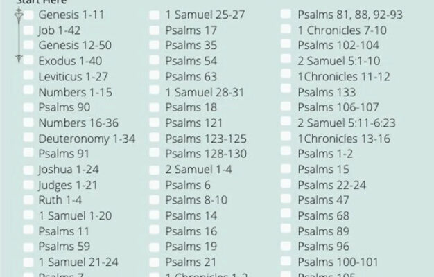 JW Bible Reading Schedule Chronological JW Planner JW Pioneer Gifts Best Life Ever Gifts Jw Family Worship Game Night Jw Kids Jw Printable Etsy
