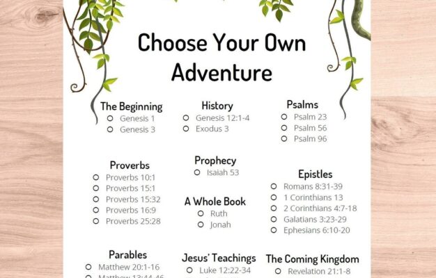 Kids Bible Reading Plan Choose Your Own Adventure Family Devotions Christian Homeschool Kids Bible Study Printable Checklist Etsy