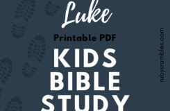 Kids Bible Study Teens Bible Study On Luke Homeschool PDF