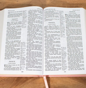 KJV Bible Large Print Center Column Reference Bible Thomas Nelson Bibles