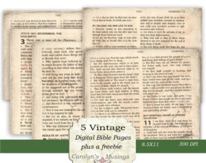 KJV Vintage Bible Papers Prayer Journal Printable Faith Journal
