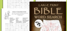 Large Print Bible Word Search 100 Puzzles Based On Various Biblical Themes With Solutions Etsy