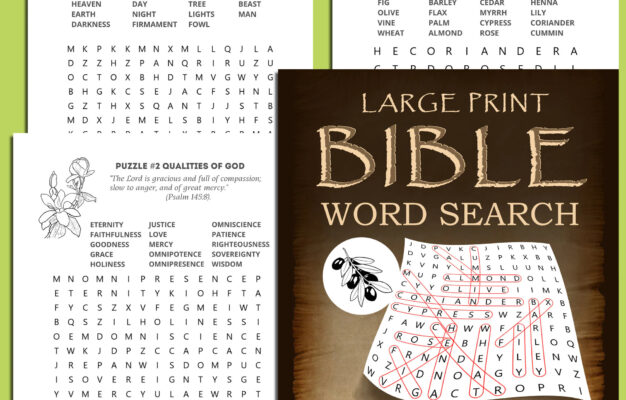 Large Print Bible Word Search 100 Puzzles Based On Various Biblical Themes With Solutions Etsy